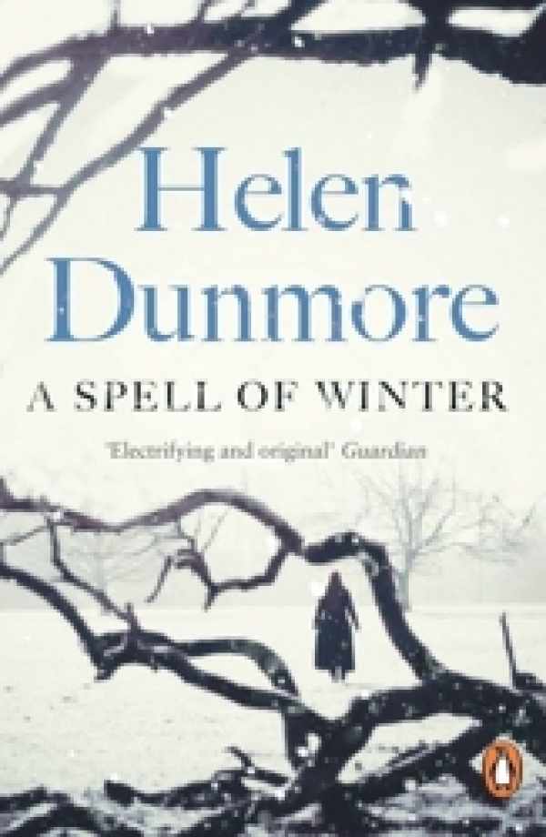 Book cover 33213: DUNMORE Helen | A spell of winter